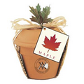 Deluxe Plant Kit with Maple Seeds